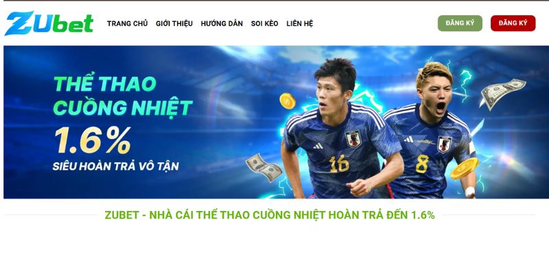 Trang chủ 30 Đôi nét về nhà cái ZUBET hiện nay